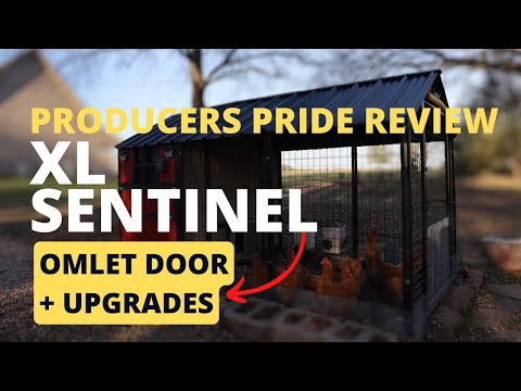 Private Access Producers Pride Universal Poultry Pen 89 Updates - rtcv2al