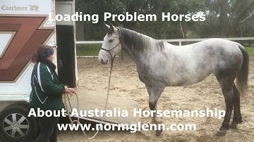 Horse Training - Float Loading Problem Horses 3