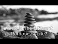 What is The Different Purpose Of Life|जीवन का अलग उद्देश्य क्या है