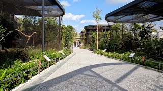 Bird Paradise Singapore  Walking Tour  4k