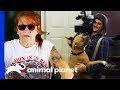Behind The Scenes Of Villalobos Dog Rescues With Tia Torres | Pit Bulls & Parolees