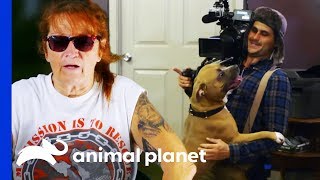 Behind The Scenes Of Villalobos Dog Rescues With Tia Torres | Pit Bulls & Parolees