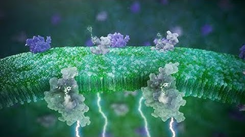 Overactive Bladder Animation