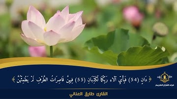 و لمن خاف مقام ربه جنتان - تلاوة خاشعة من سورة الرحمن  - القارئ طارق العناني