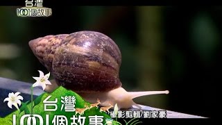 商機大工程師不當改養白玉蝸牛part4【台灣1001個故事】 