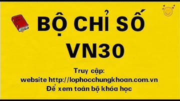 Chỉ số VN30 là gì? | Cách xác định và ý nghĩa của chỉ số VN30 Index