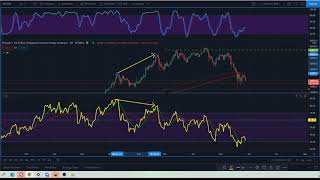 Footprints of the Bitcoin Crash