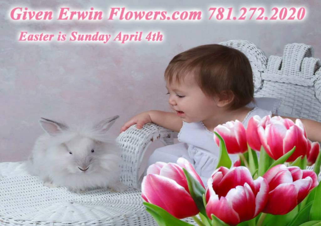 Given Erwin Florist talking Easter Bunny 781 272 2020.avi YouTube