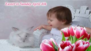 Given Erwin Florist talking Easter Bunny 781 272 2020.avi
