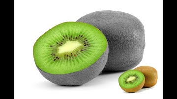 Adobe Photoshop CS6 - Color Splash Effect