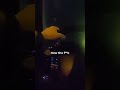 Bodycam Caught This Cop Saying This THEN... #bodycam