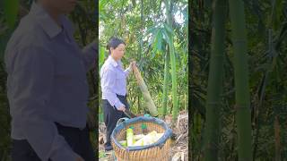 It’s the bamboo shoot season again P56 #faming #bambooshoots #country #satisfying #rurallife #shorts
