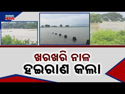 ଖରଖରି ନାଳ ହଇରାଣ କଲା Ganjam Flood News | Kharakhari Nala Swells, Badarampalli Area Inundated