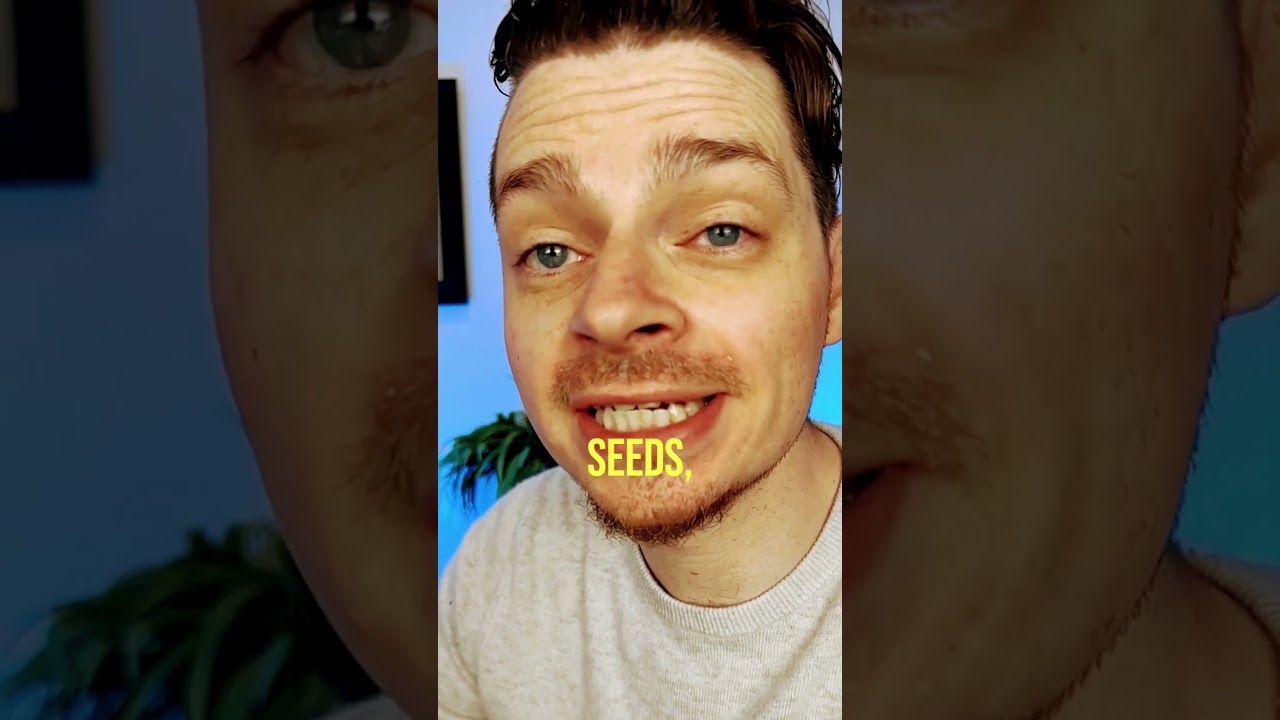 EAT THESE FOODS IN THE MORNING TO CRUSH BRAIN FOG!