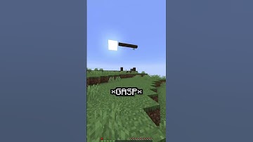 Minecraft, But There Is Only One Block...