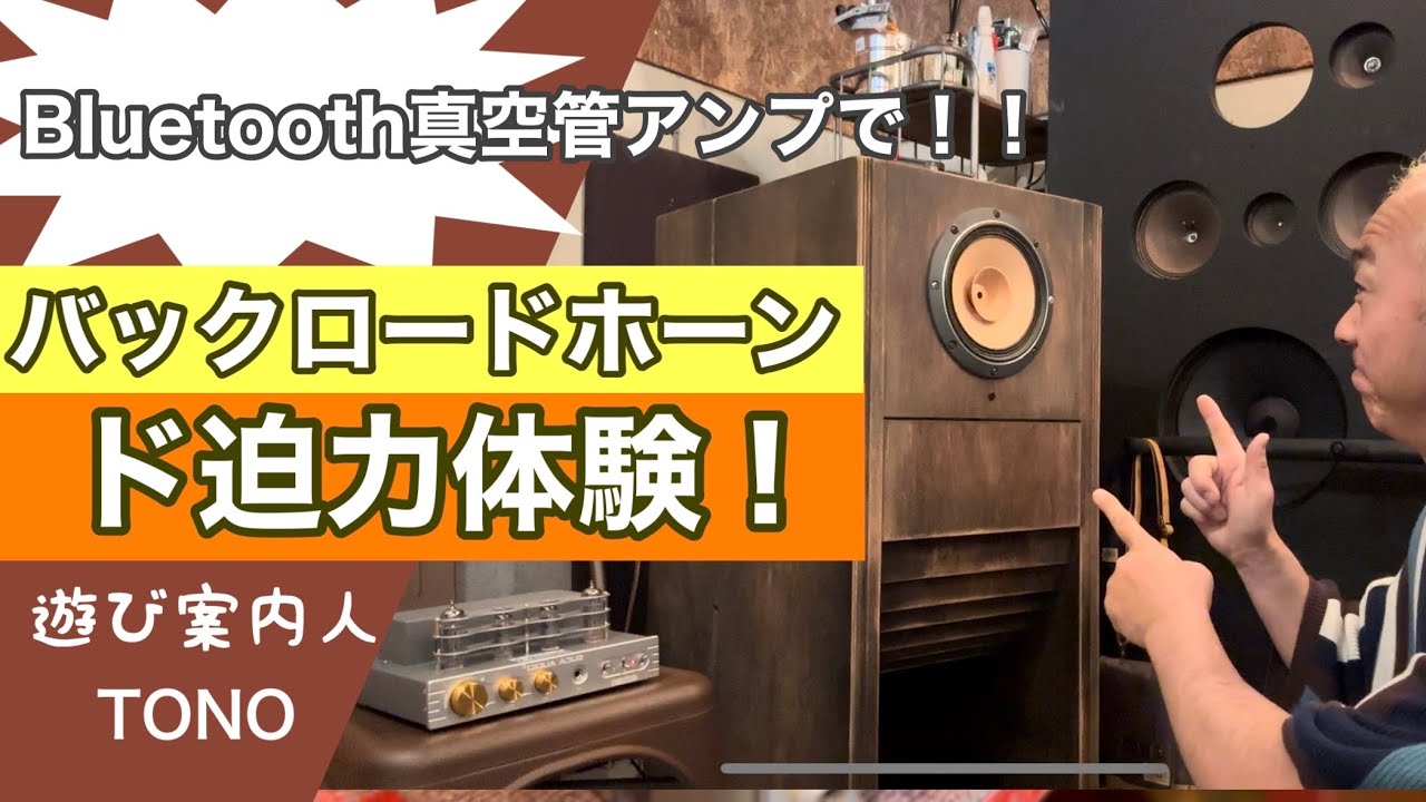 Bluetooth Vacuum Tube Amplifier] Listen to audio through a