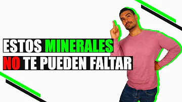 ¿Cuáles son las sales minerales más importantes en los seres vivos?