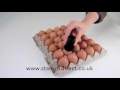 Stamping a tray of eggs