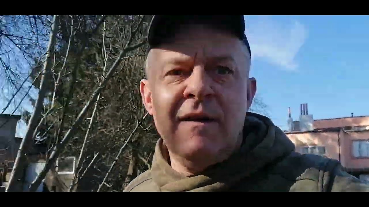 A jednak żyją. Dziupla w ulu z szerszeniami po sąsiedzku i bez leczenia. 