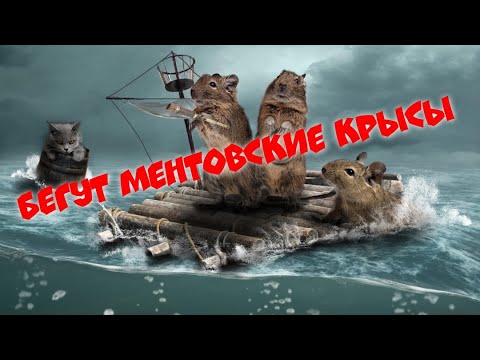 БЕГУТ МЕНТОВСКИЕ КРЫСЫ
