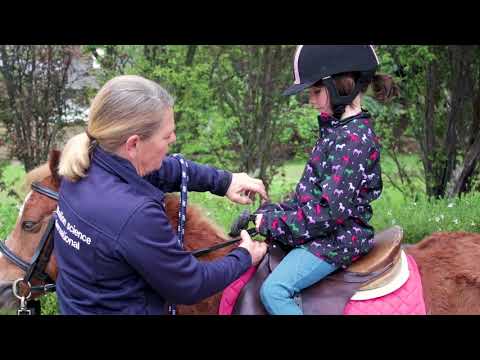 Видео: Морь хадаж: төхөөрөмж, тойм. Өөрийнхөө гараар морь хадуурыг хэрхэн яаж хийх вэ?