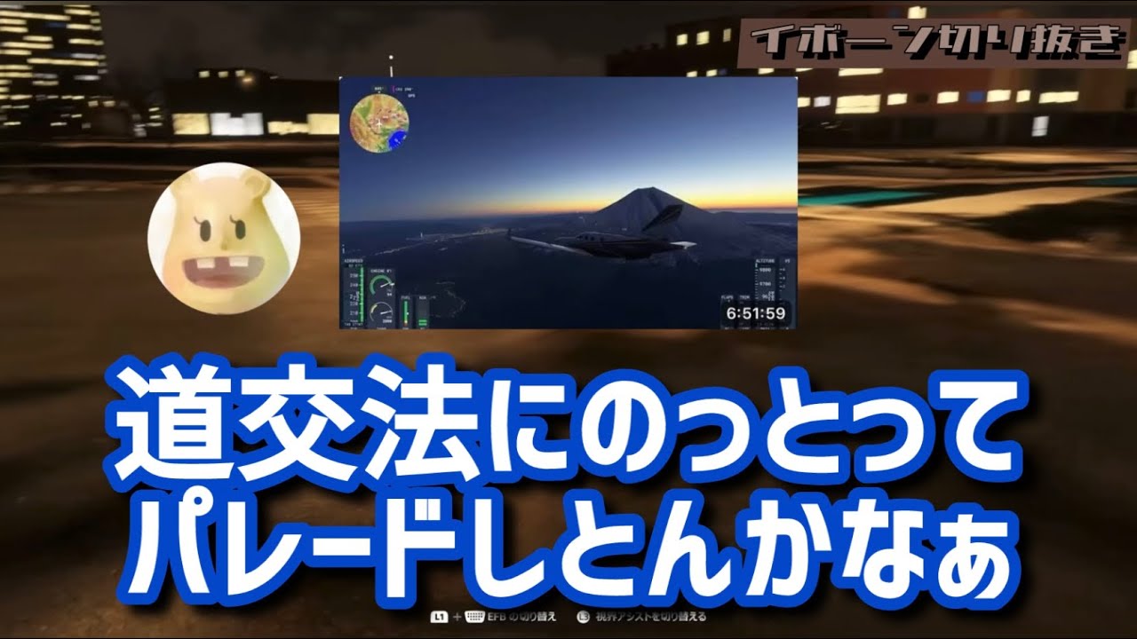 切り抜き【飛行機で世界旅行中に夜のディズニーランドに潜入したら思ってたんと違ったイボーン】「Microsoft Flight Simulator 2024」より