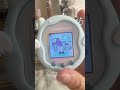 愛しの我が子たち💕