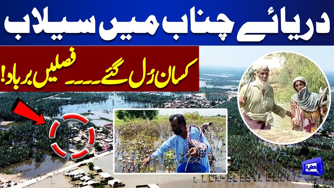 Flood in River Chenab – Farmers Devastated, Crops Destroyed | Breaking News | Dunya News