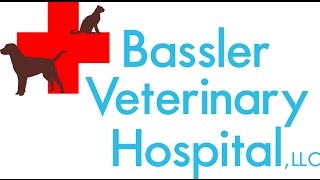 Bassler Veterinary Hospital Tour