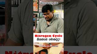 Nitrogen Cycle Explained Simply | Water Quality #06