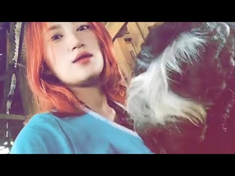 Rizz goat forced kiss her milf  thumbnail