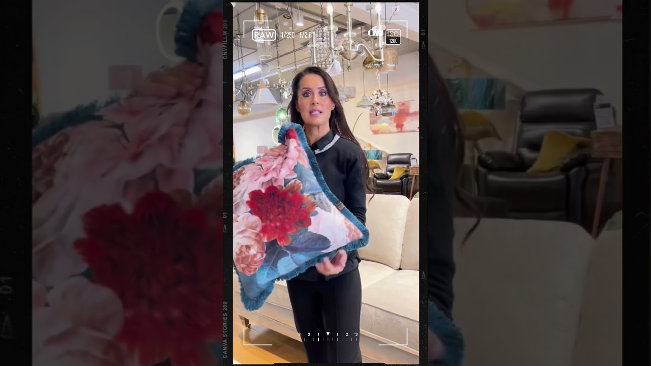 Discover Luxury & Comfort: Scatterbox Cushions Collection by Foy and Company  