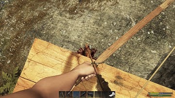 How to kill a cougar in subsistence without being in danger