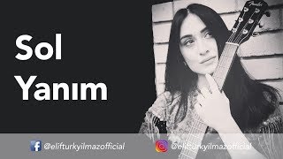 Elif Türkyılmaz - Sol Yanım Resimi