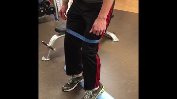 Patellar Tendon Loading: Level 1