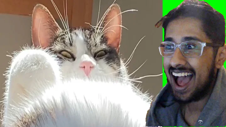 REACTING TO UNUSUAL MEMES COMPILATION V178