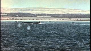 Marine and Coast Guard amphibious training in San Diego,CA.  Higgins boat crews t...HD Stock Footage