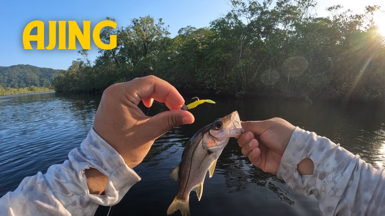 Como pescar Robalo no Ajing? Dicas de iscas e trabalhos na pescaria de Ajing