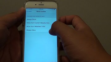 iPhone 6: How to Enable / Block Website Cookies in Safari