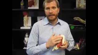 Hip Muscle Injury and Trigger Points