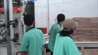 Detailed high frequency press video Information