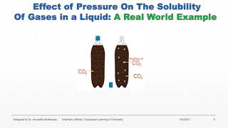Solubility of Gas in Liquid and Its Real World Examples