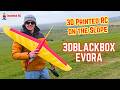 NO POWER BUT FLIES FOR HOURS ! 3D printed 3DBlackBox Evora (with Glider and Power Options)
