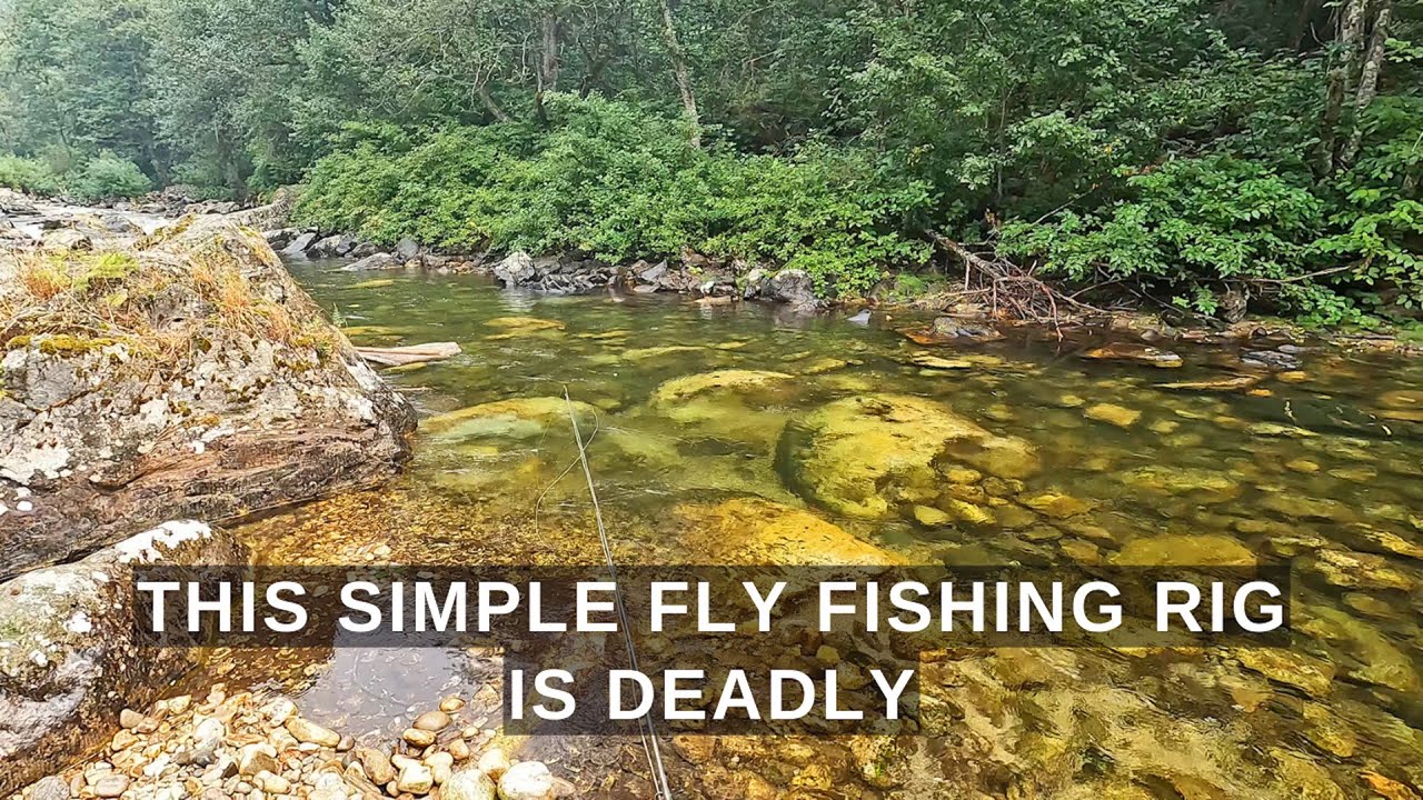 This simple ONE FLY rig is deadly anywhere you fly fish! 