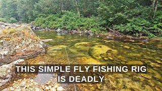 This simple ONE FLY rig is deadly anywhere you fly fish!