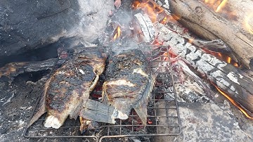 Cắm trại nướng cá trên hoang đảo,đi đánh lưới trúng đàn cá rô hai nước 