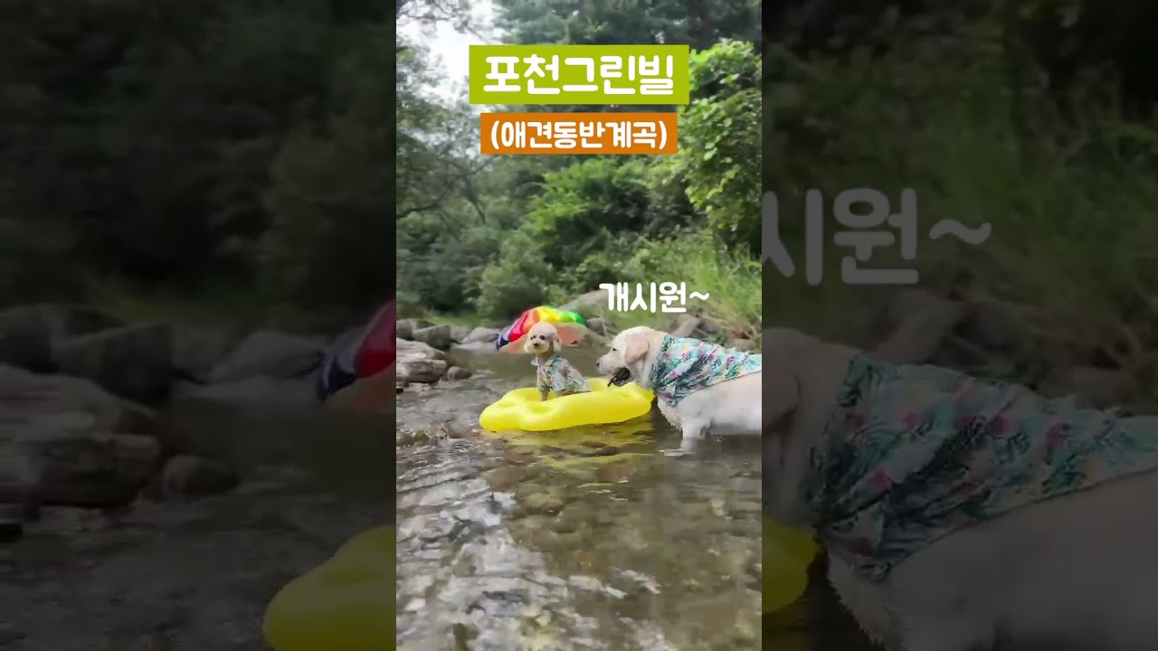 애견동반계곡 포천그린빌 #애견동반계곡 #애견동반계곡 반#포천그린빌 빌#시골피디