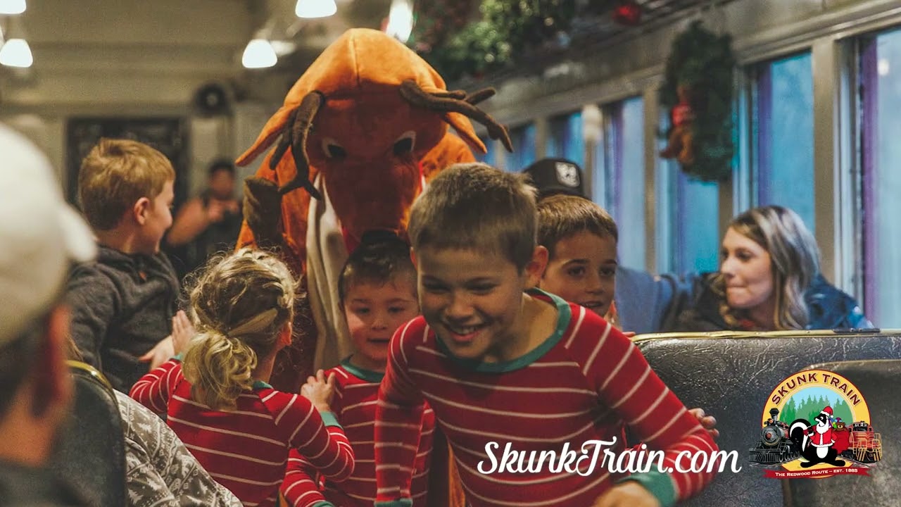 Mr. Skunk's GIANT Christmas Tree