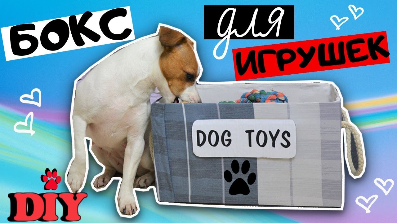 DIY | БОКС ДЛЯ СОБАЧЬИХ ИГРУШЕК | ГДЕ ХРАНИТЬ СОБАЧЬИ ИГРУШКИ?