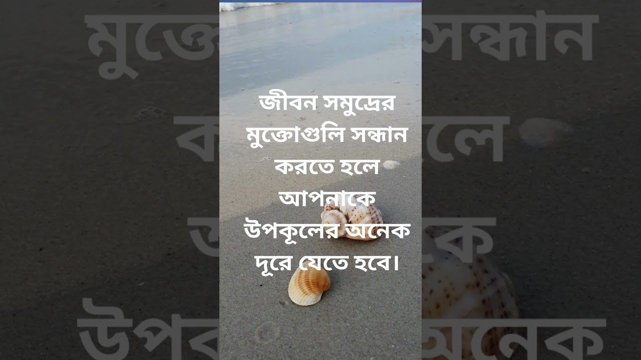 Serene Moments: Exploring the Beauty of the Sea Beach|কথাকল্পের জানালা|